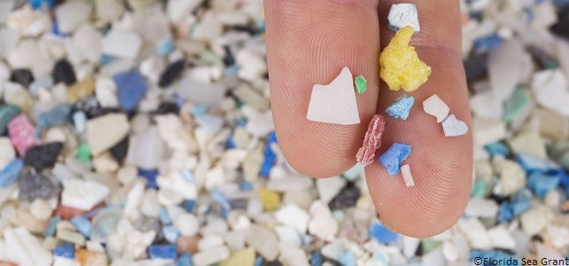 D&rsquo;où viennent les microplastiques&nbsp;?