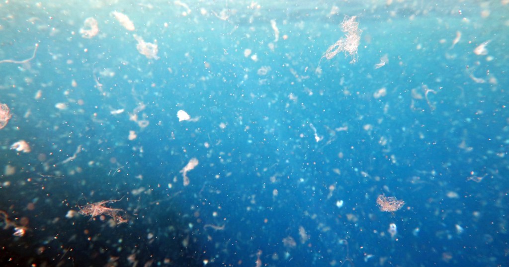 Workshop d&rsquo;experts: impact des microplastiques – état des&nbsp;lieux