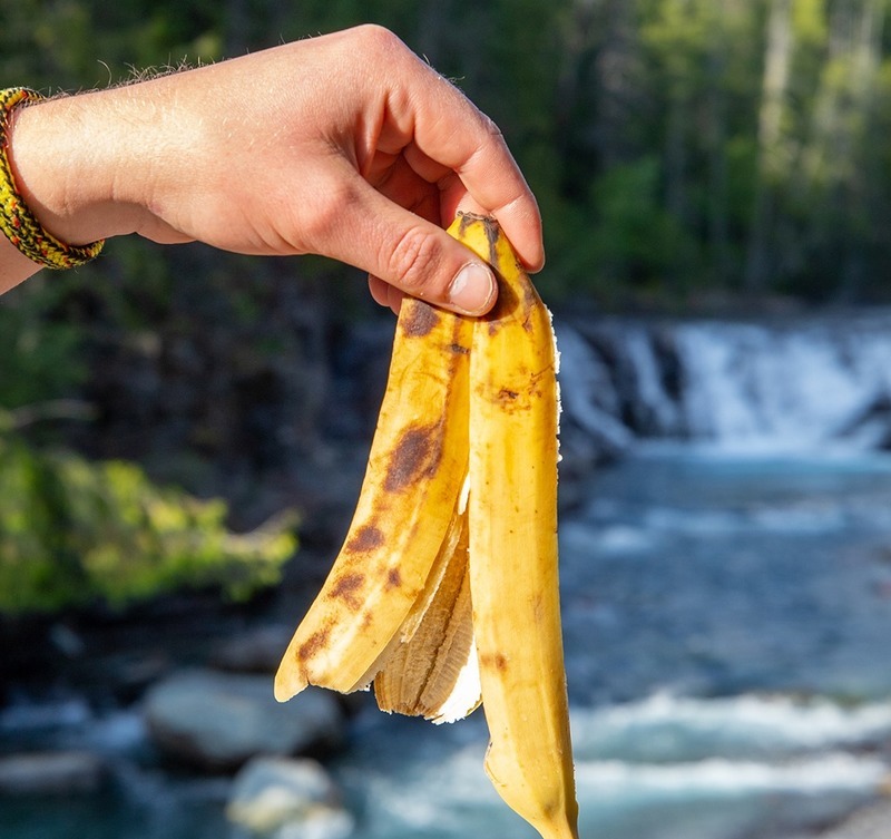 L&rsquo;impact de la peau de banane et autres déchets organiques jetés dans la&nbsp;nature