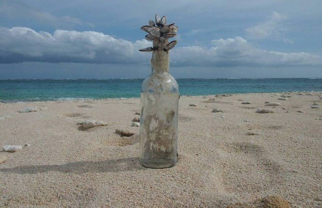 Impact du verre jeté dans la&nbsp;nature