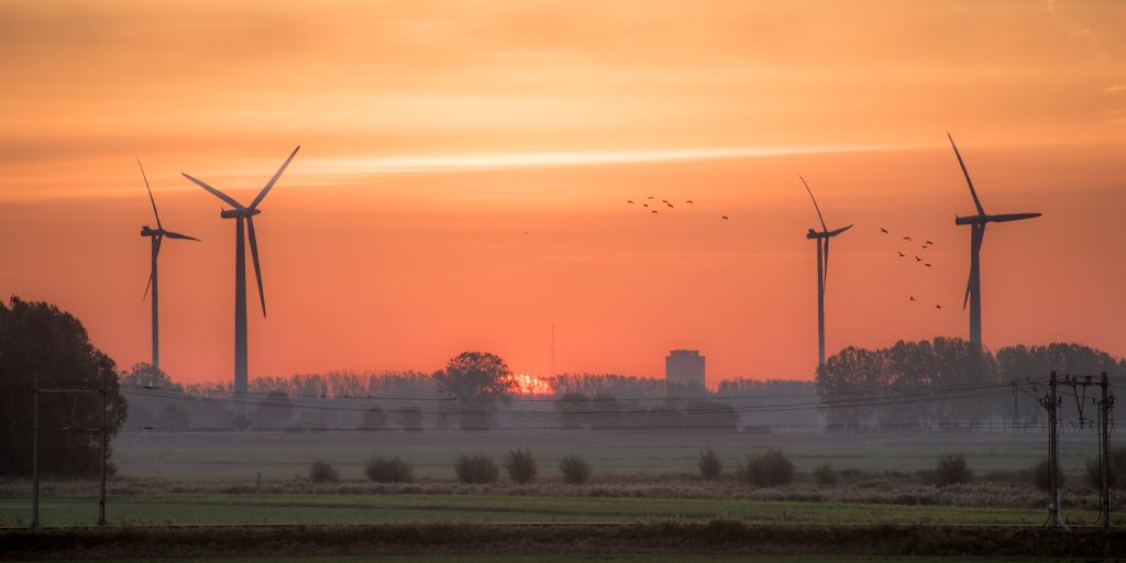 Le démantèlement des éoliennes en&nbsp;Allemagne